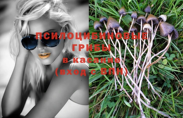 СК Верея